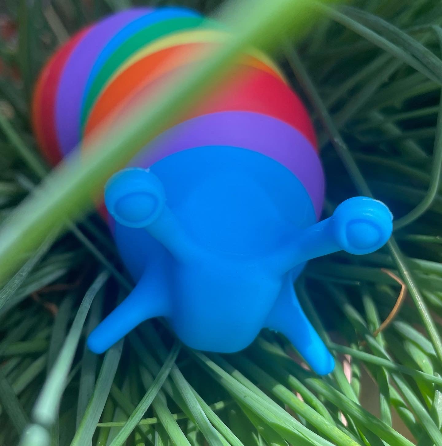 Rainbow Sensory Slug