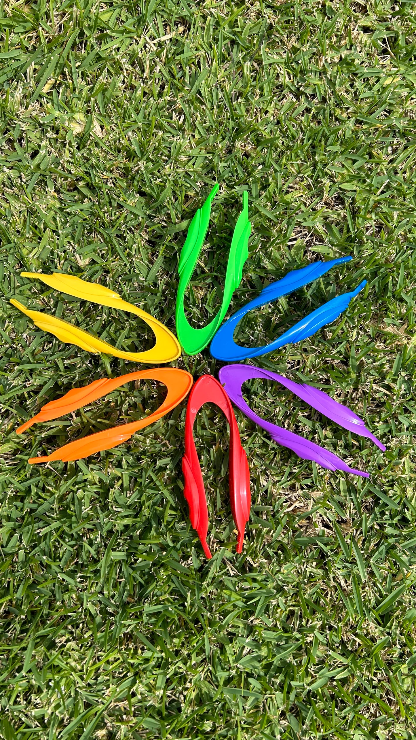 Rainbow Pack (6) six Jumbo Tweezers | Fine Motor